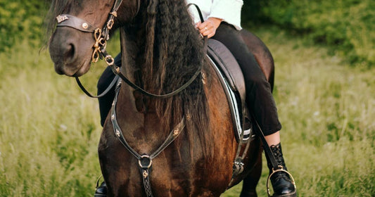 Why Do You Need A Saddle To Ride A Horse?