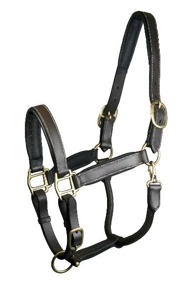 Gatsby Fully Adjustable Padded Leather Halter