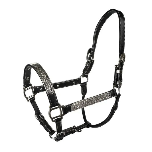 Tabelo Leather Show Halter with Engraved Silver