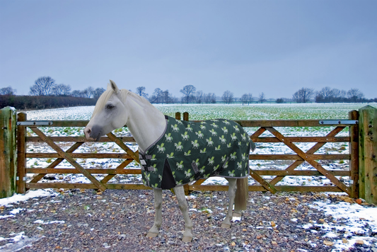 Pony in a unicorn print turnout blanket standing in a field with a fence.
